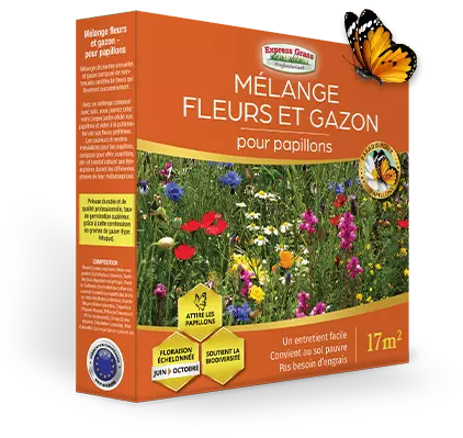 Mélange fleurs et gazon - pour papillons