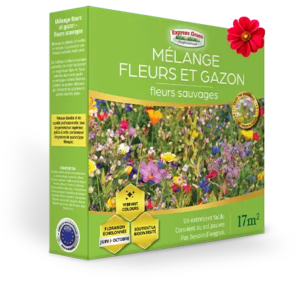 Mélange fleurs et gazon – fleurs sauvages