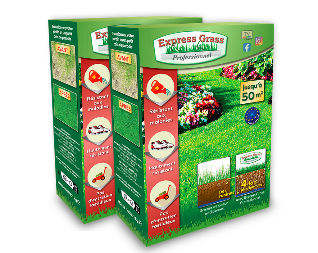 Linsor Gazon Magique 1kg Pour 50m² - Graines De Gazon Germination Rapide, Résistant Ombre Et Sécheresse